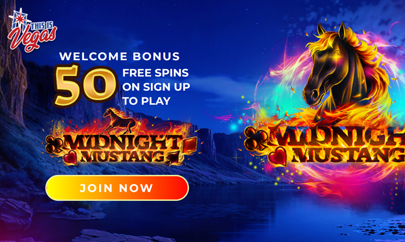 Exclusive 50 Free Spins No Deposit Casino Bonus